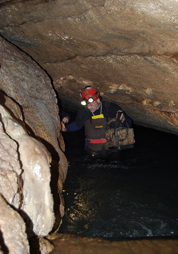 Dr. Ashley Wading in Cave Pool
